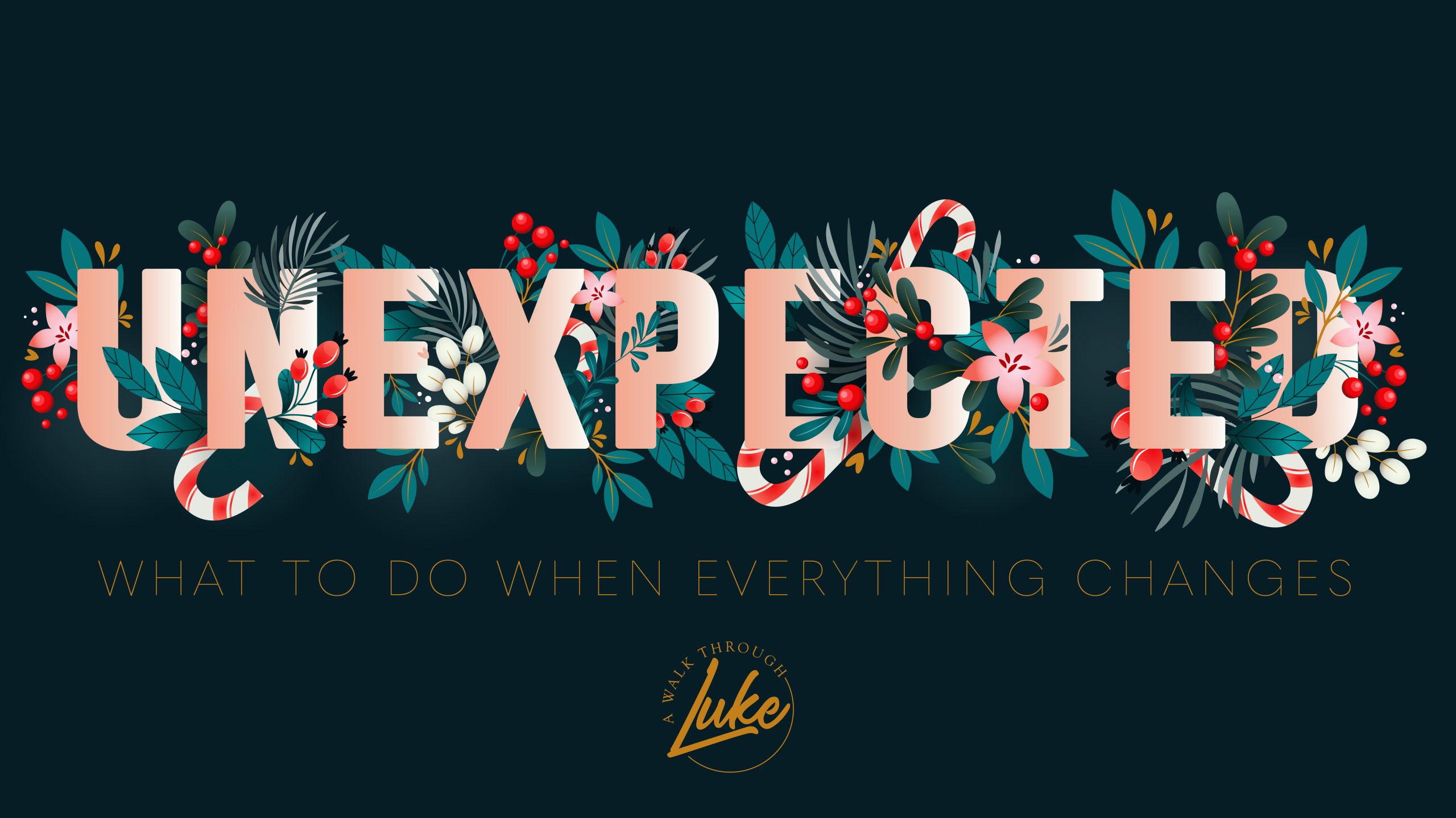 Unexpected Christmas What to Do When Everything Changes Quail